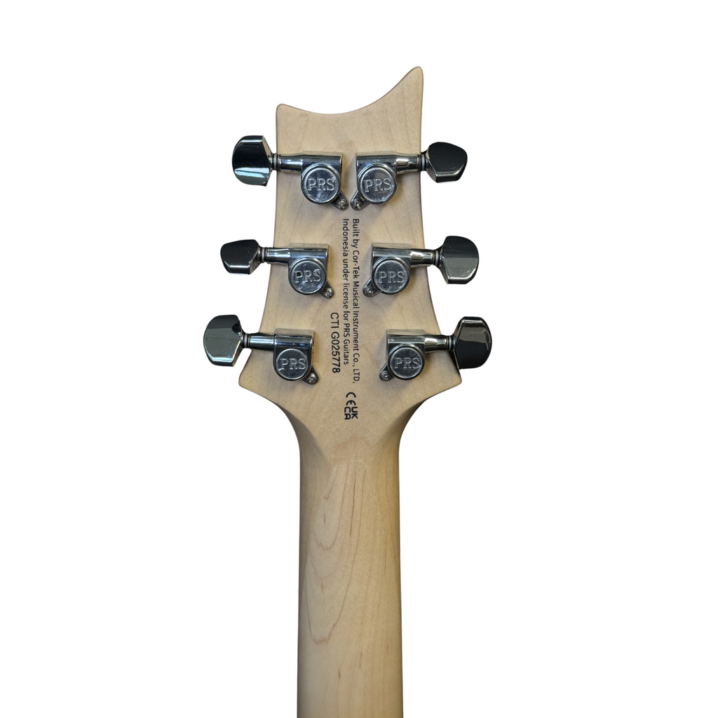 PRS SE Swamp Ash Special Electric Guitar