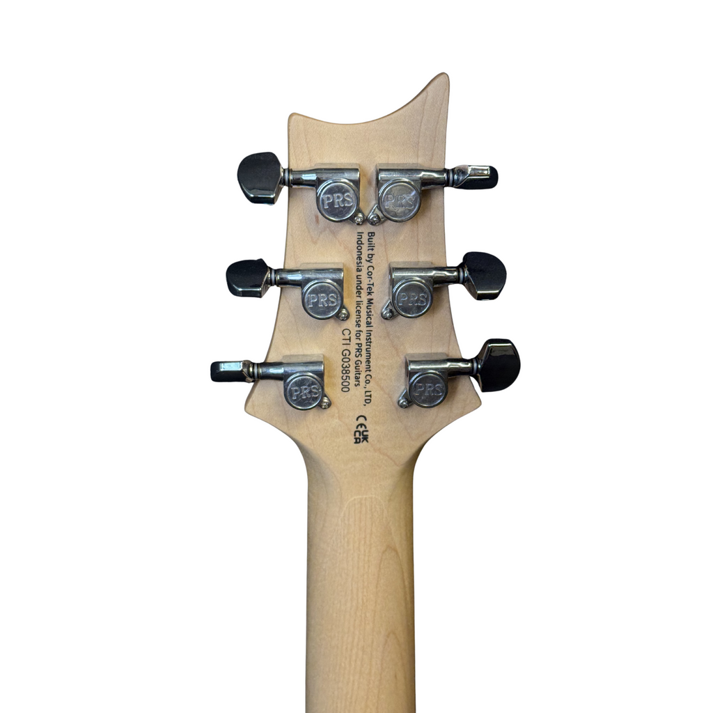 PRS SE Swamp Ash Special Electric Guitar