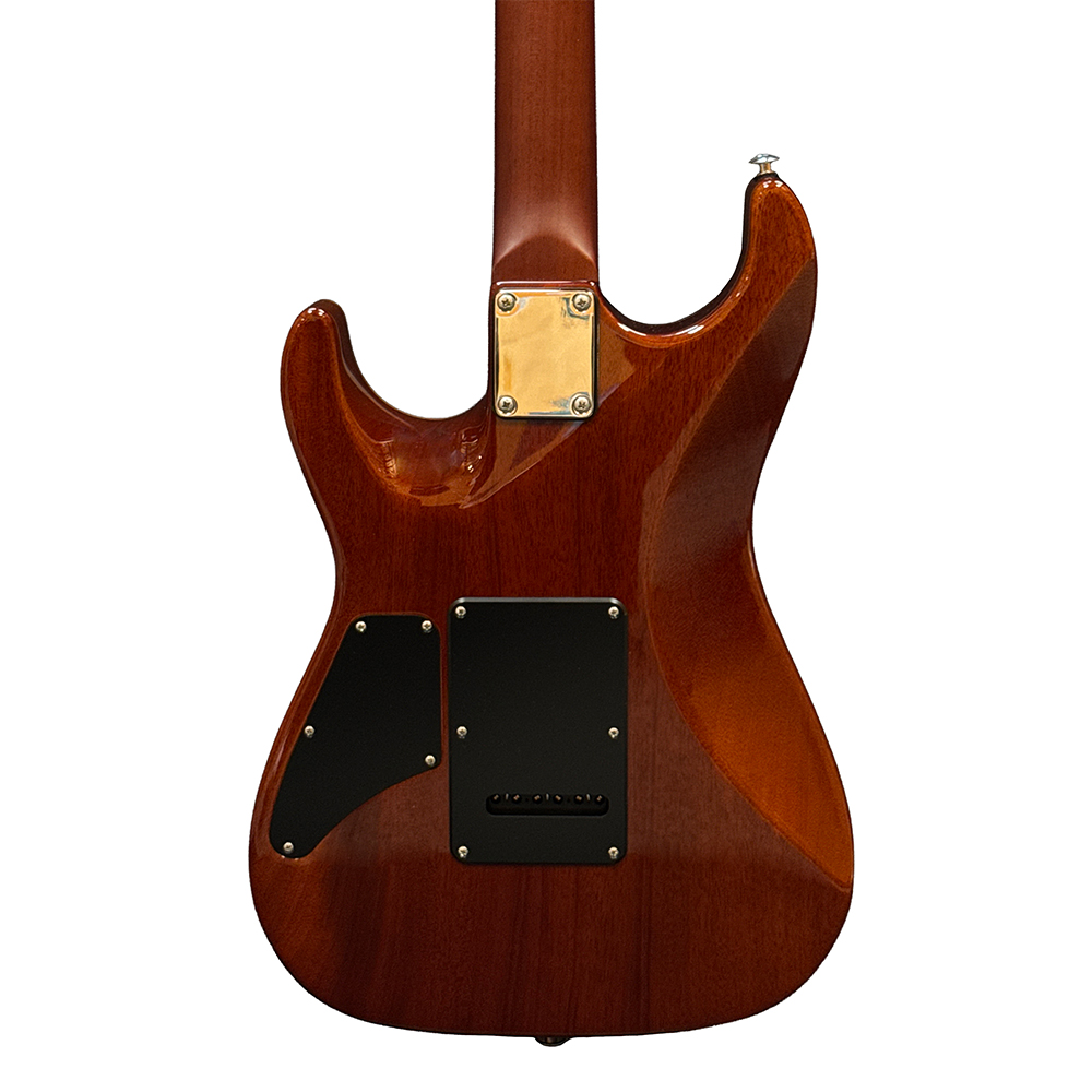 Suhr Pete Thorn Signature Standard HH Electric Guitar