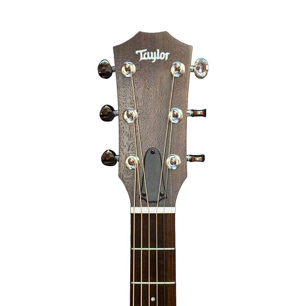 Taylor Big Baby Taylor BBT - Natural