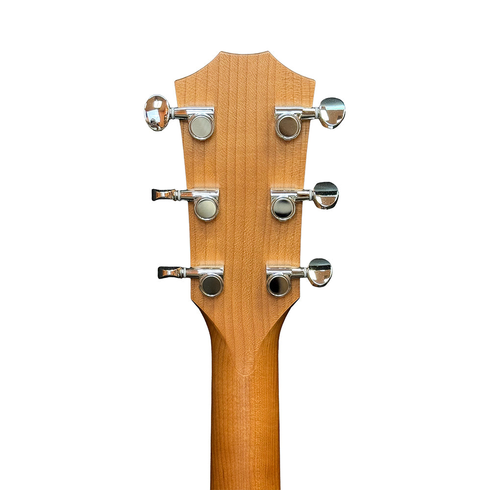 Taylor Big Baby Taylor BBT - Natural