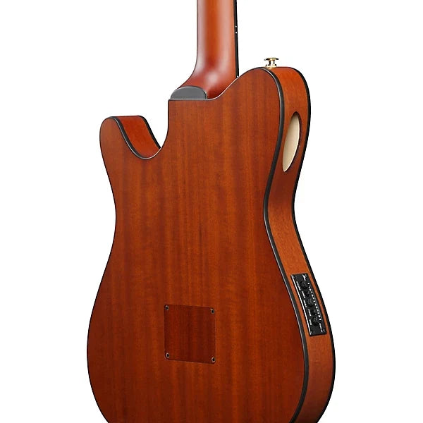 Ibanez FRH10N Thinline Nylon Acoustic-electric Guitar - Natural