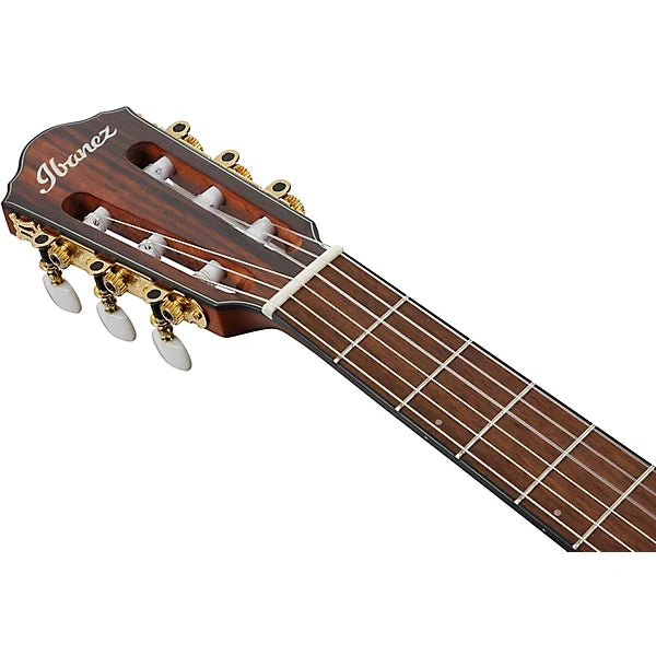Ibanez FRH10N Thinline Nylon Acoustic-electric Guitar - Natural