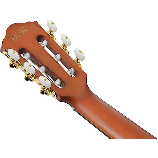 Ibanez FRH10N Thinline Nylon Acoustic-electric Guitar - Natural