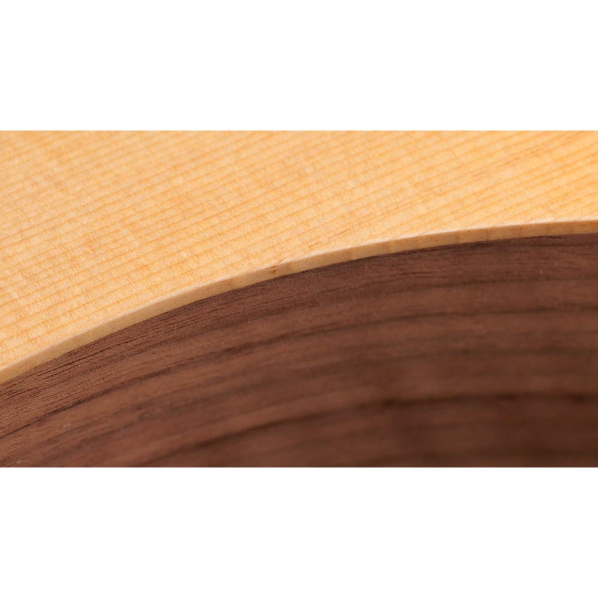 Taylor Academy 10e Acoustic-electric Guitar - Natural