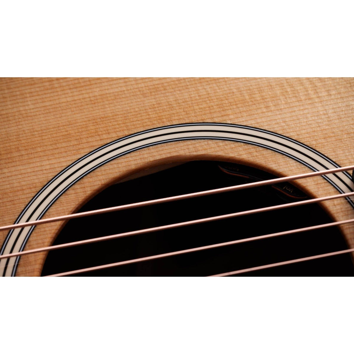 Taylor Gold Label 517e Acoustic-electric Guitar