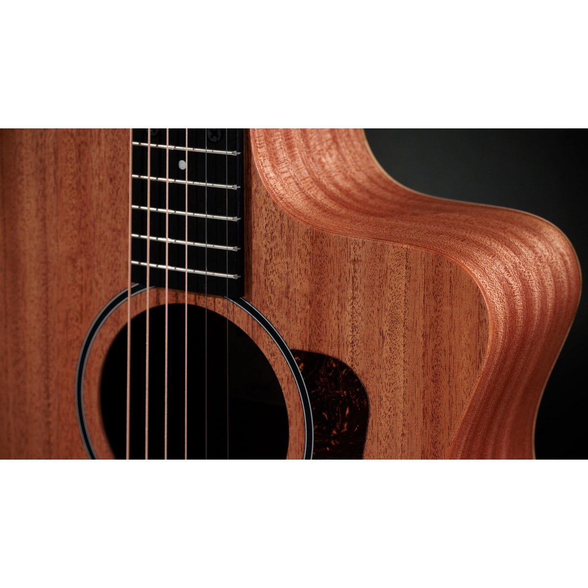 Taylor 24ce Grand Auditorium Acoustic-electric Guitar - Natural
