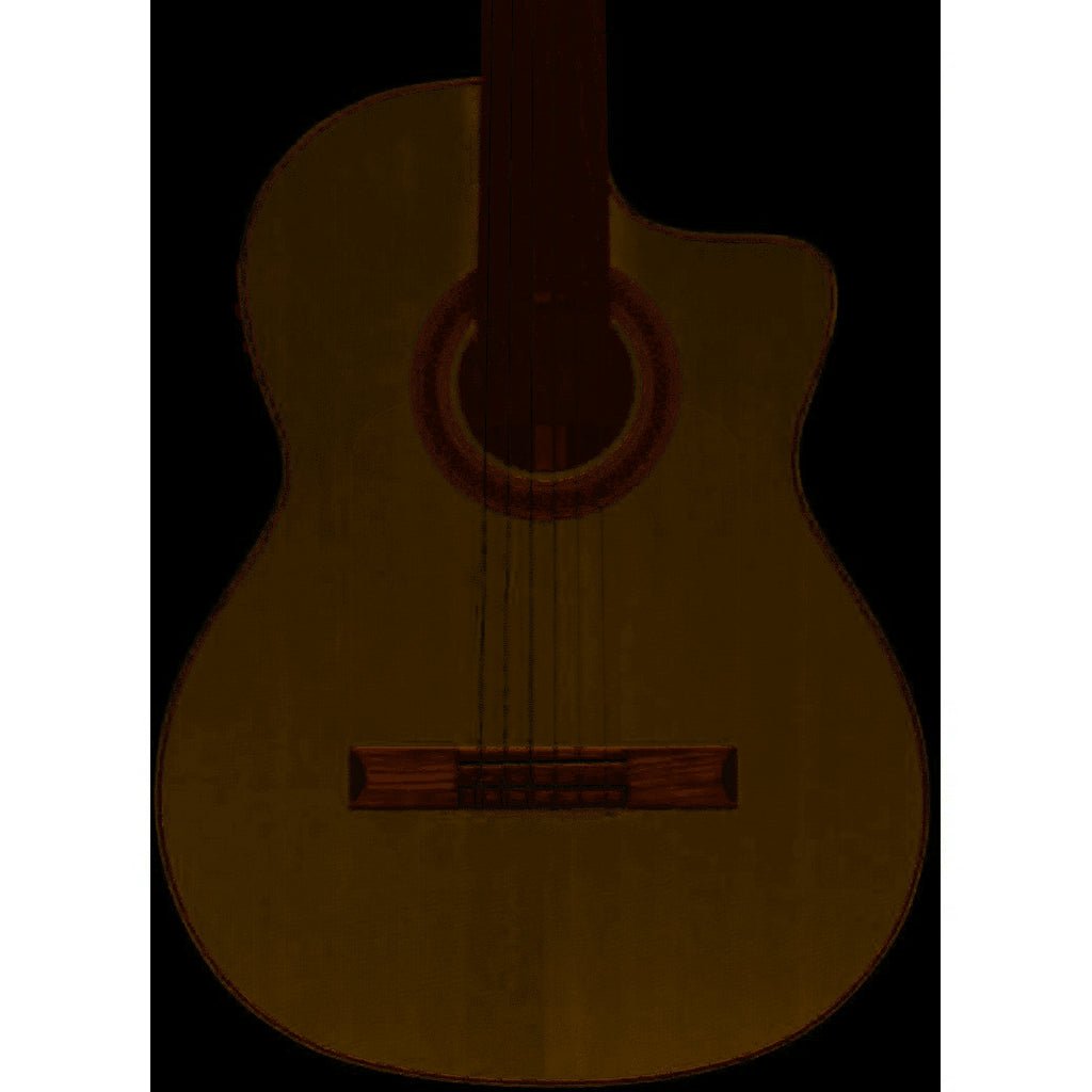 Cordoba GK Studio Negra Nylon String Acoustic-Electric Classical Guitar  - Spruce