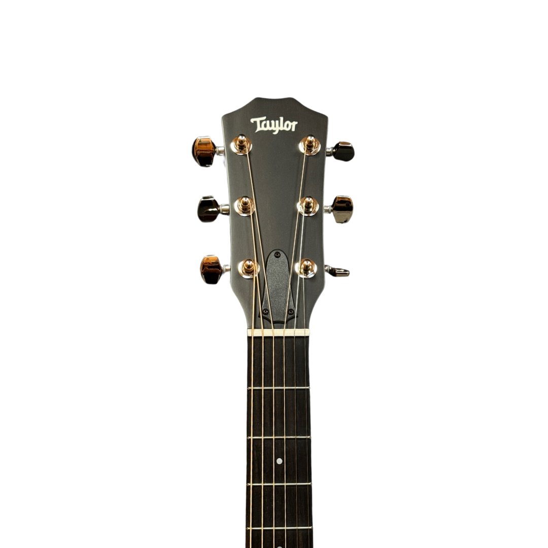 Taylor 414ce Studio Acoustic-electric Guitar