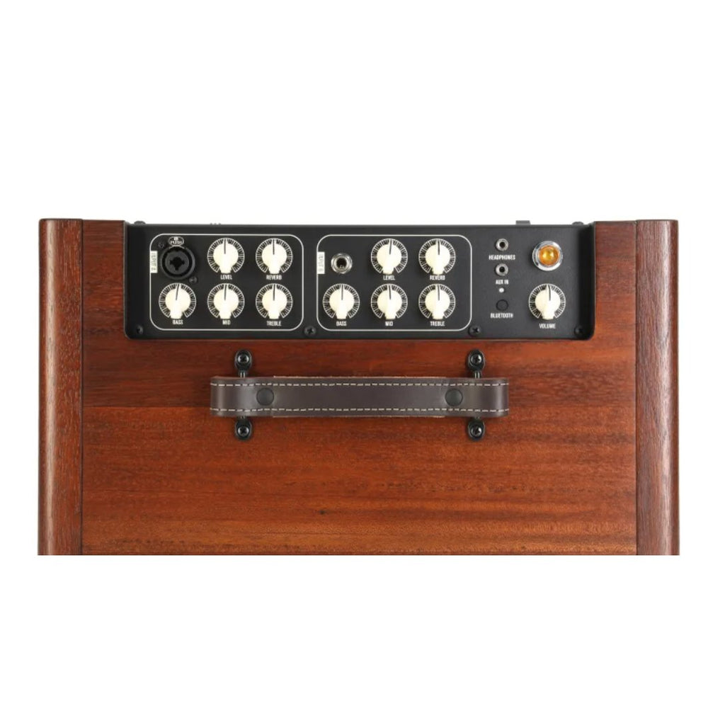 Taylor Circa 74 150-watt Acoustic Guitar and Vocal Amplifier