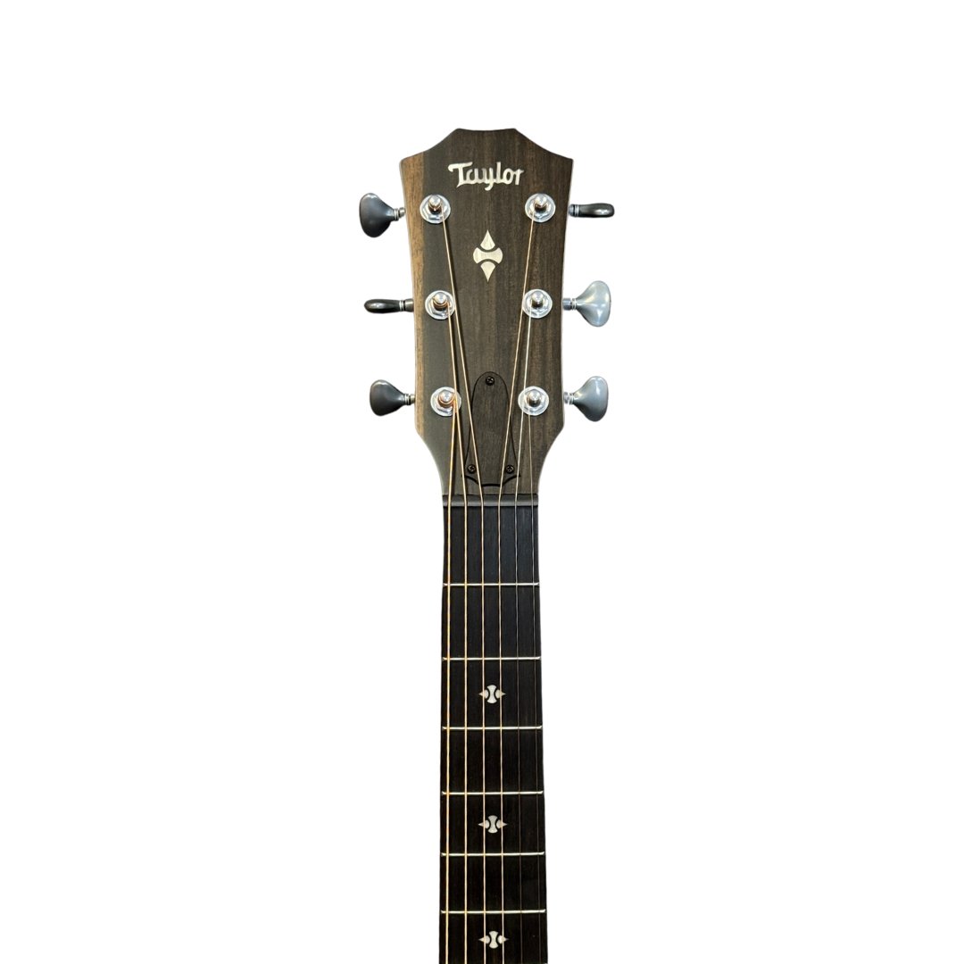 Taylor 524ce Builder's Edition Acoustic-electric Guitar