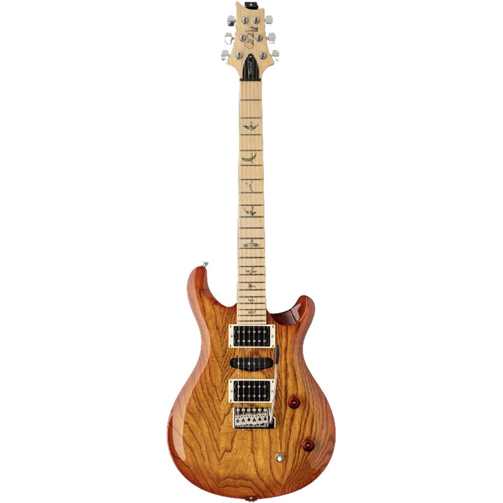 PRS SE Swamp Ash Special Electric Guitar