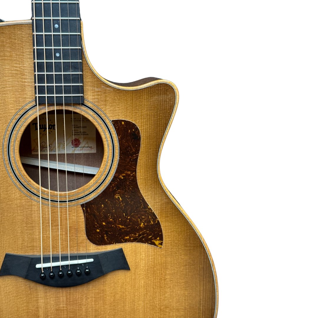 Taylor 314ce Studio Acoustic Electric Guitar