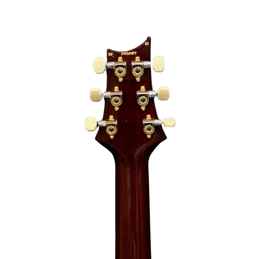 PRS DGT 10-Top Electric Guitar with Bird Inlays - Dark Cherry Sunburst