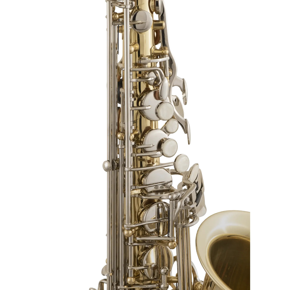 Selmer SAS301 Student Alto Saxophone - Lacquer