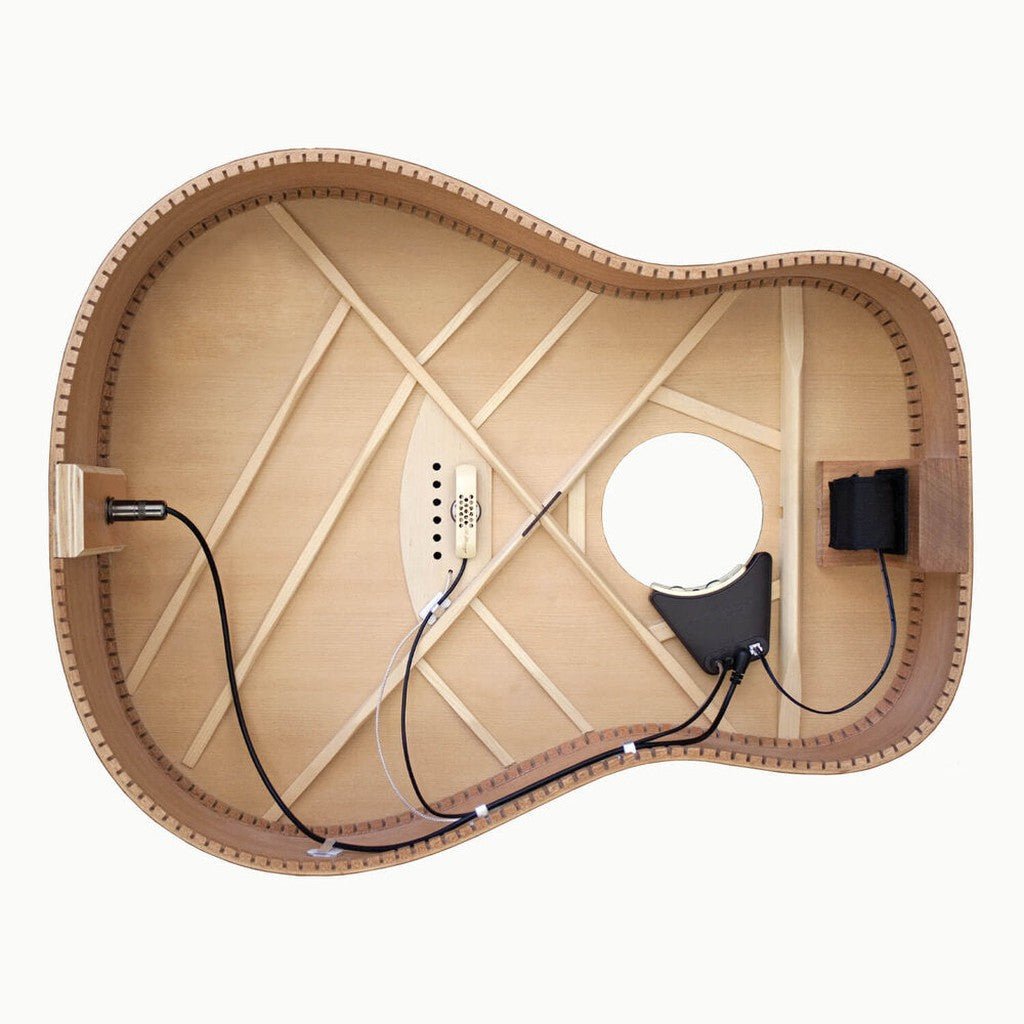 LR Baggs Anthem Soundhole Microphone + Undersaddle Acoustic Guitar Pickup
