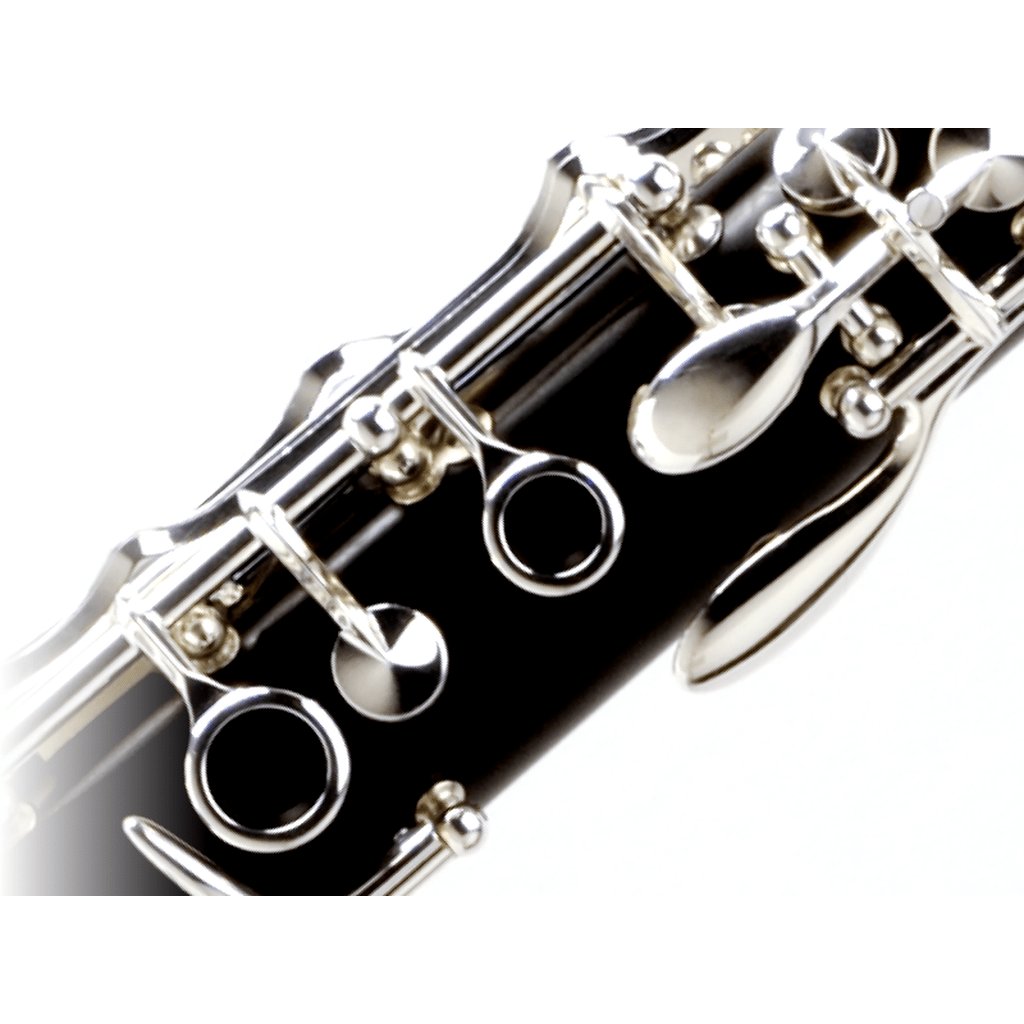 Buffet Crampon R13 Professional Bb Wood Clarinet with Nickel-plated Keys