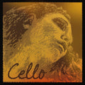 Pirastro Evah Pirazzi Gold Cello String Set