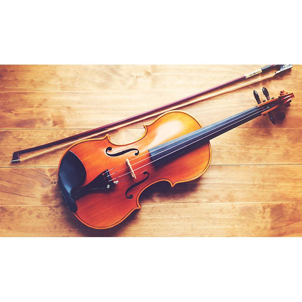 Classical Strings Brazilian Wood Student Model Violin Bow - 1/2 Size